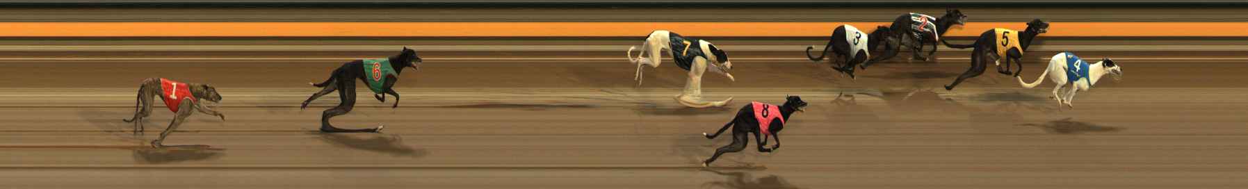Race result finish photo